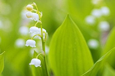 《家园3》跳票至2024年2月发售 需要更多时间打磨